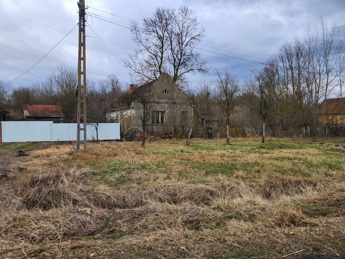 Miniatură 10