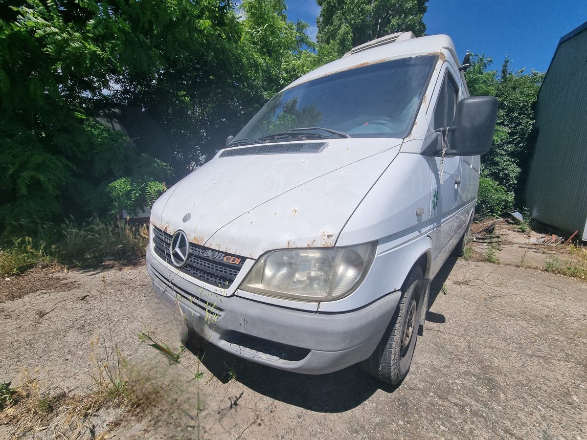 Miniatură 3