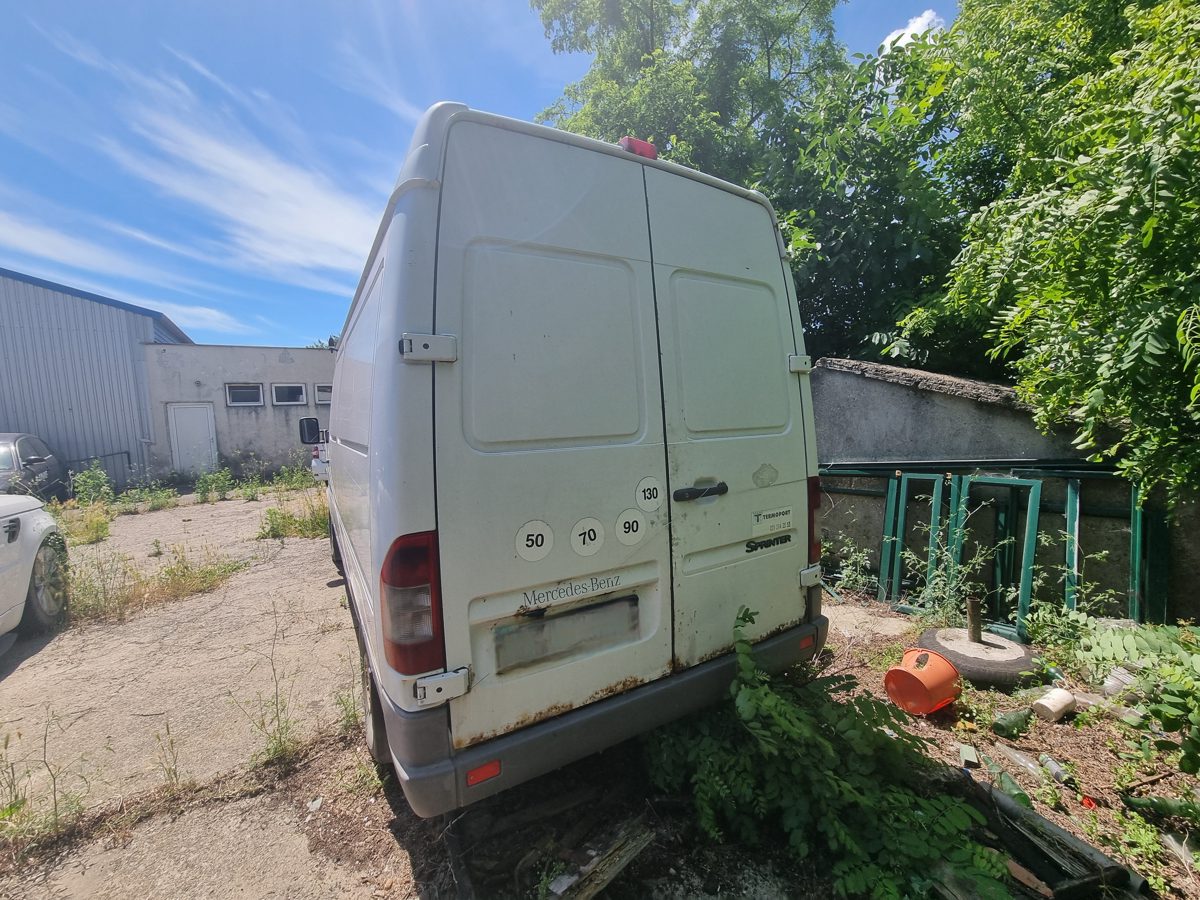 Miniatură 6