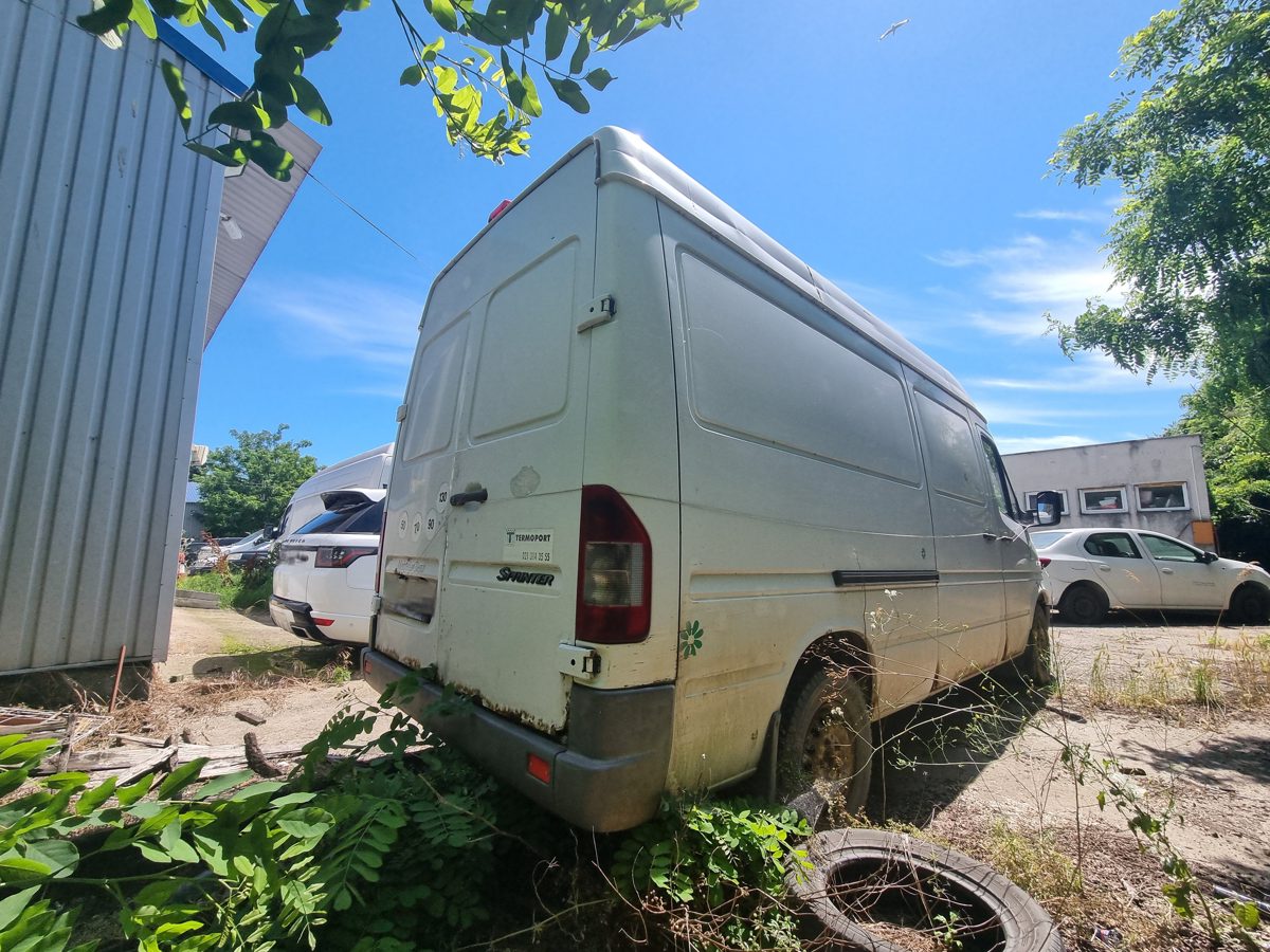 Miniatură 7