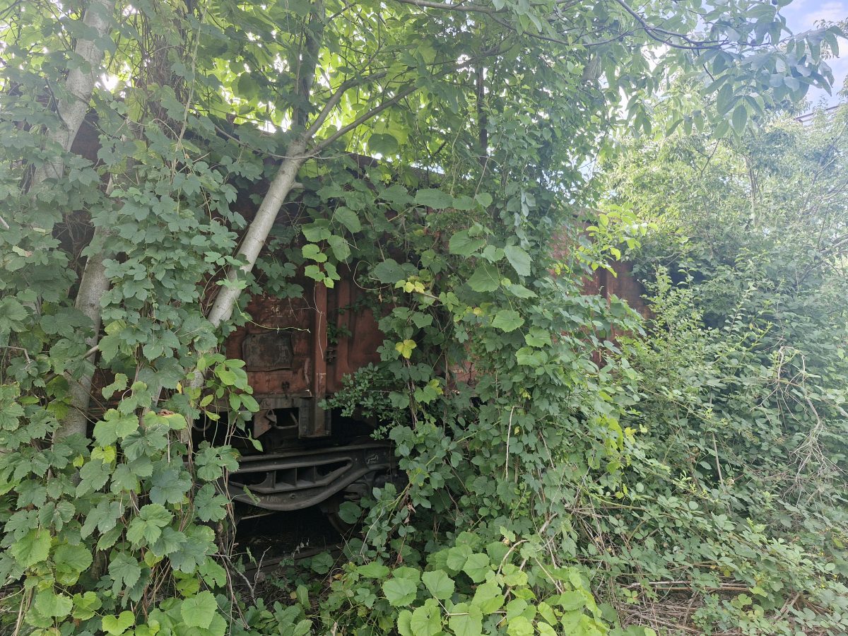 Miniatură 2