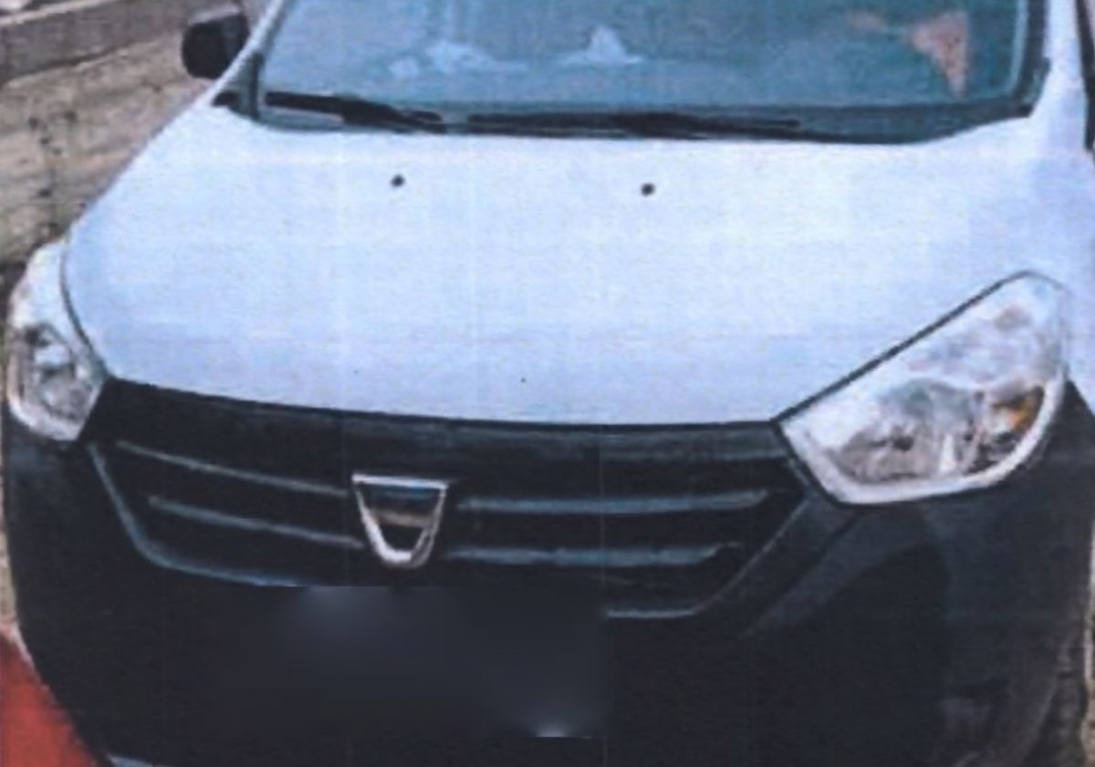 Miniatură 3