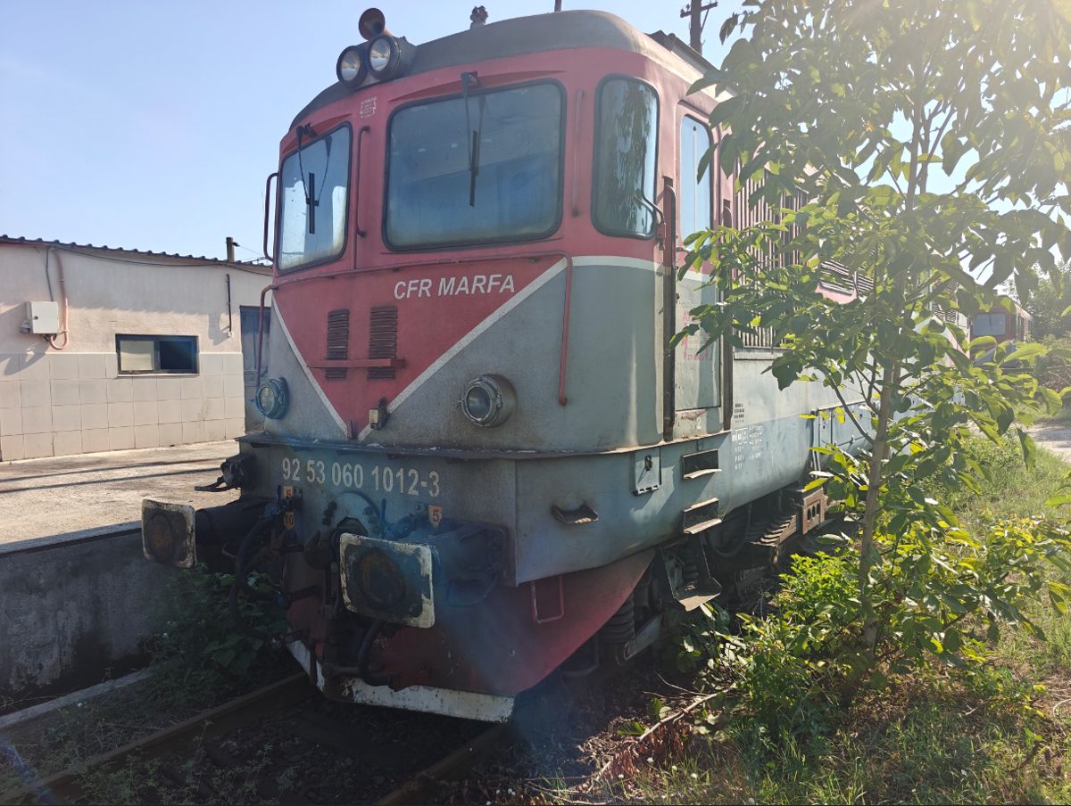 Miniatură 3