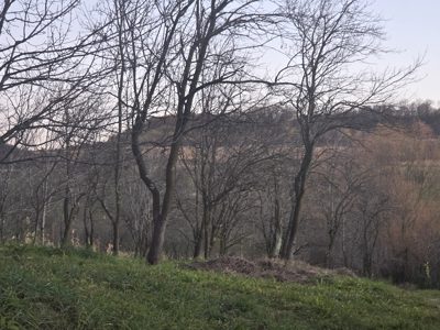 Teren  cu destinatie drum de acces