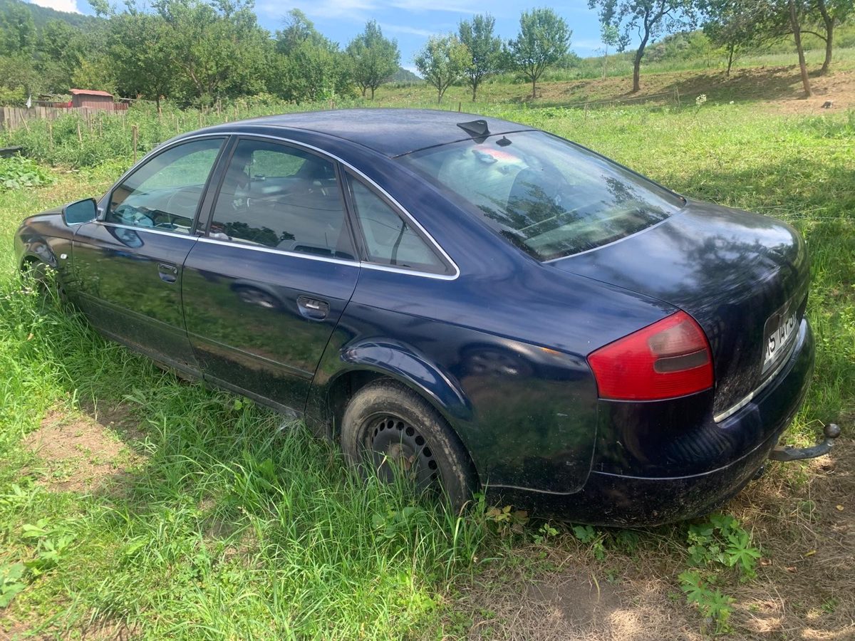 Miniatură 3