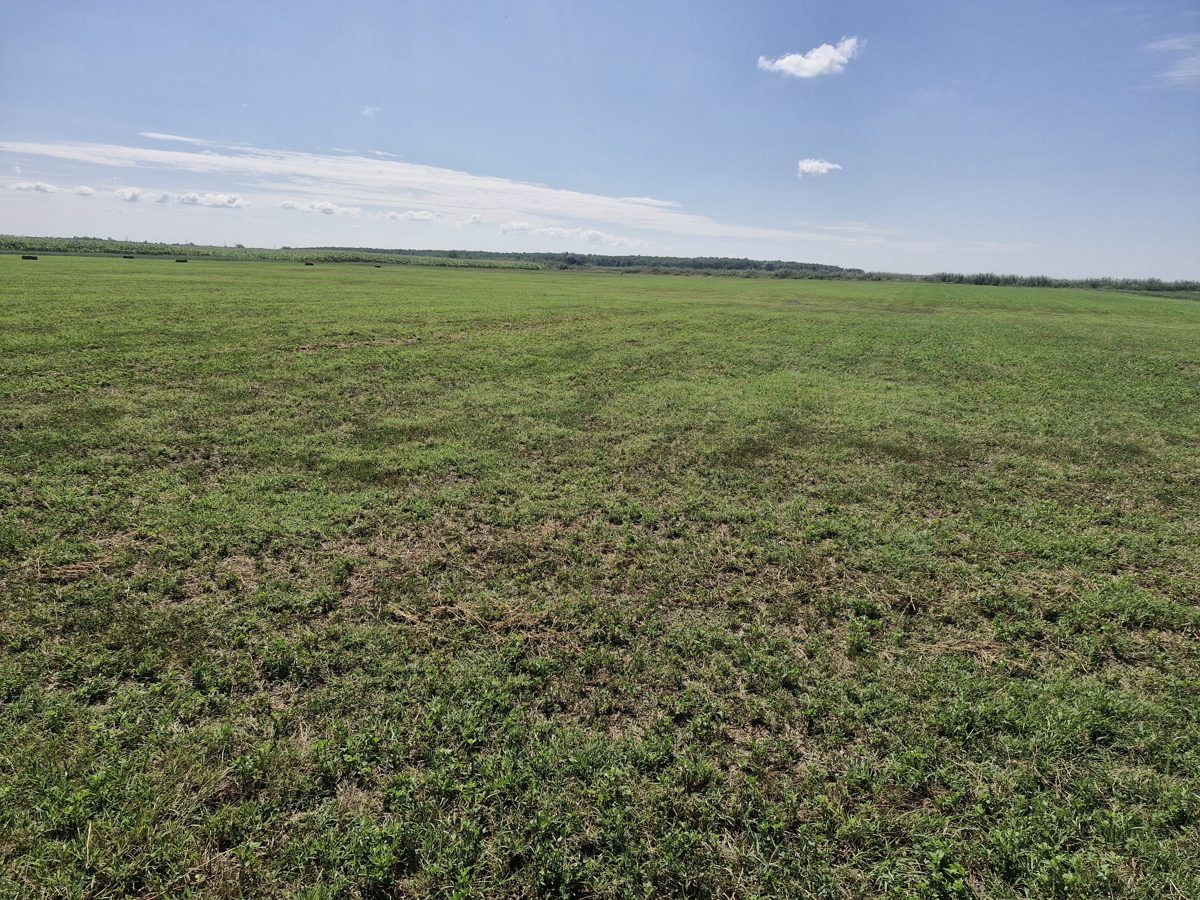 Teren agricol - 1