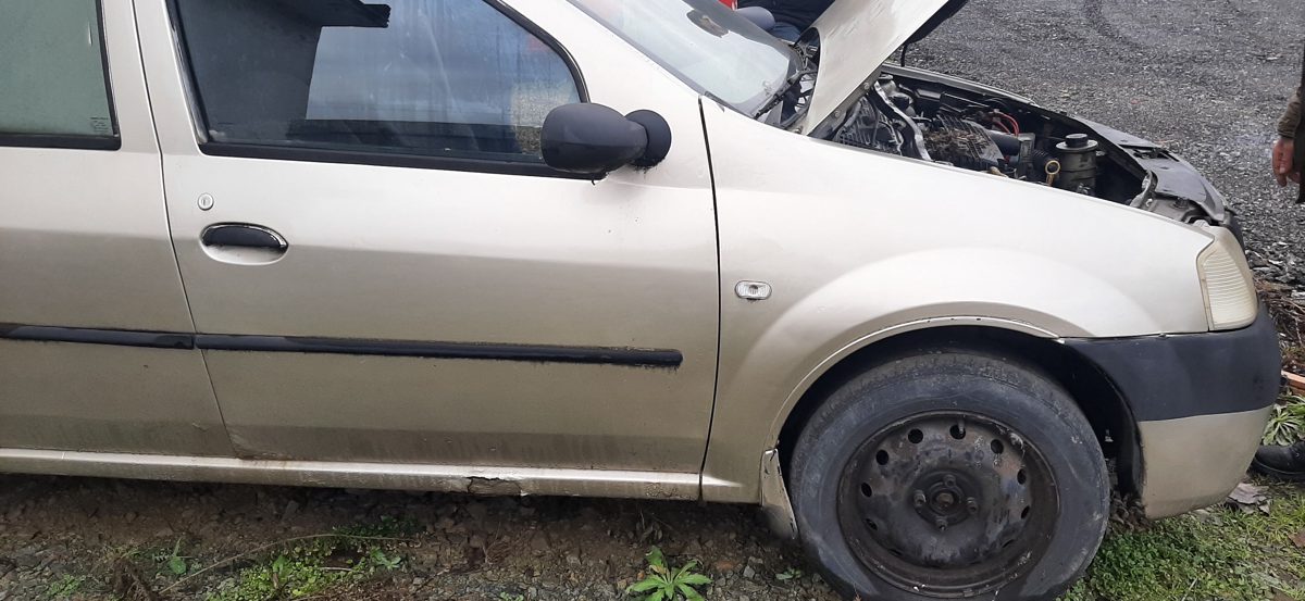 Miniatură 3