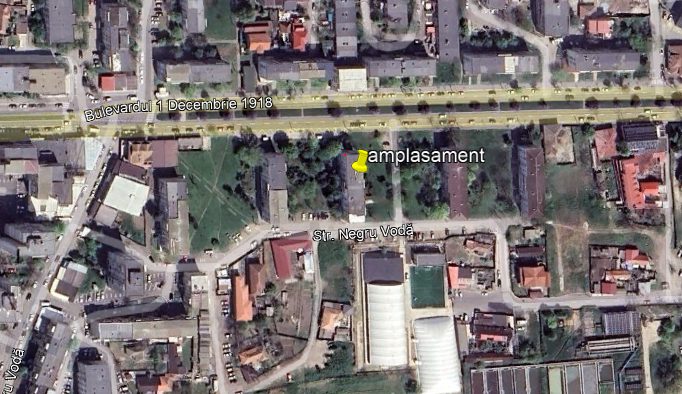 Miniatură 12