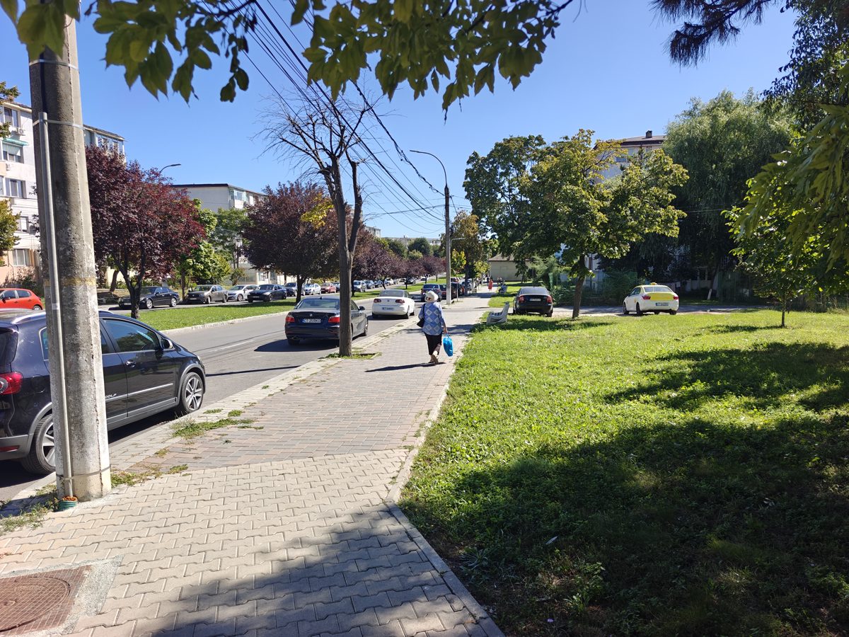 Miniatură 7