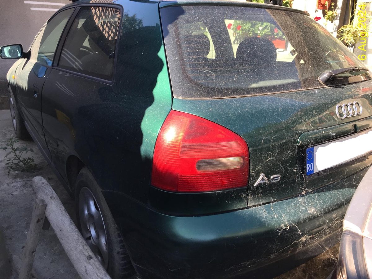 Miniatură 6
