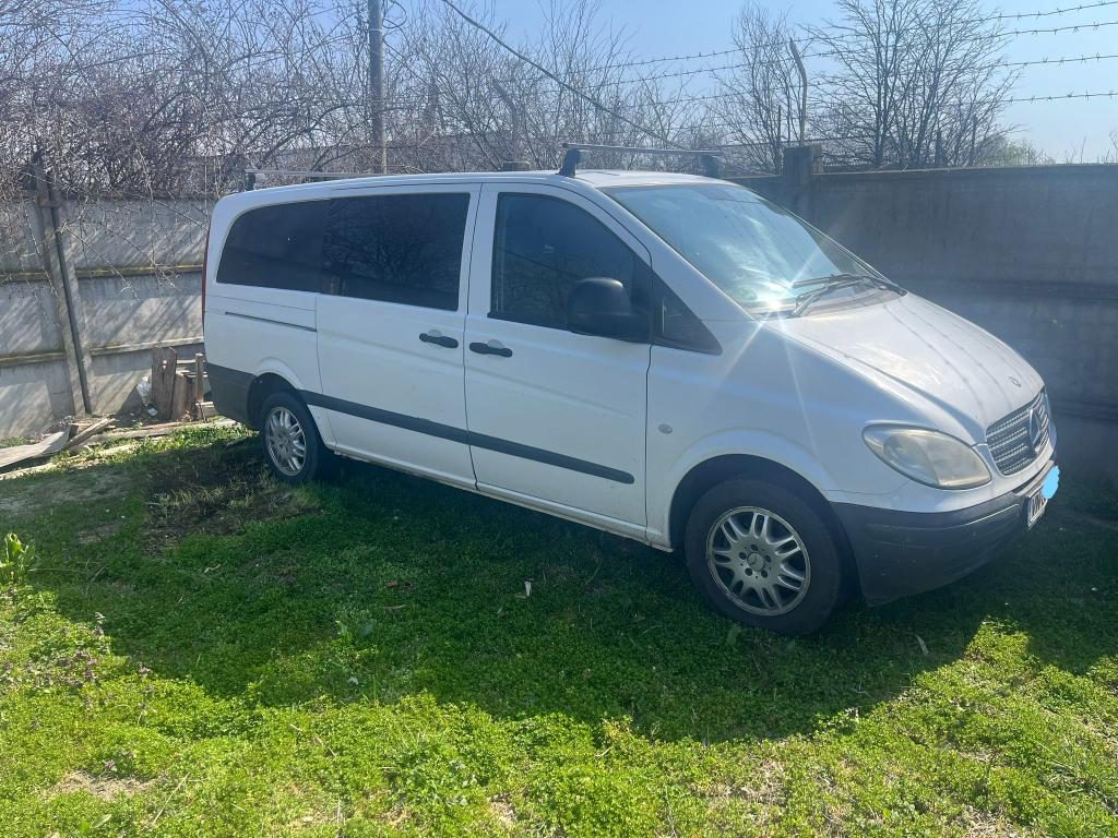 Miniatură 2