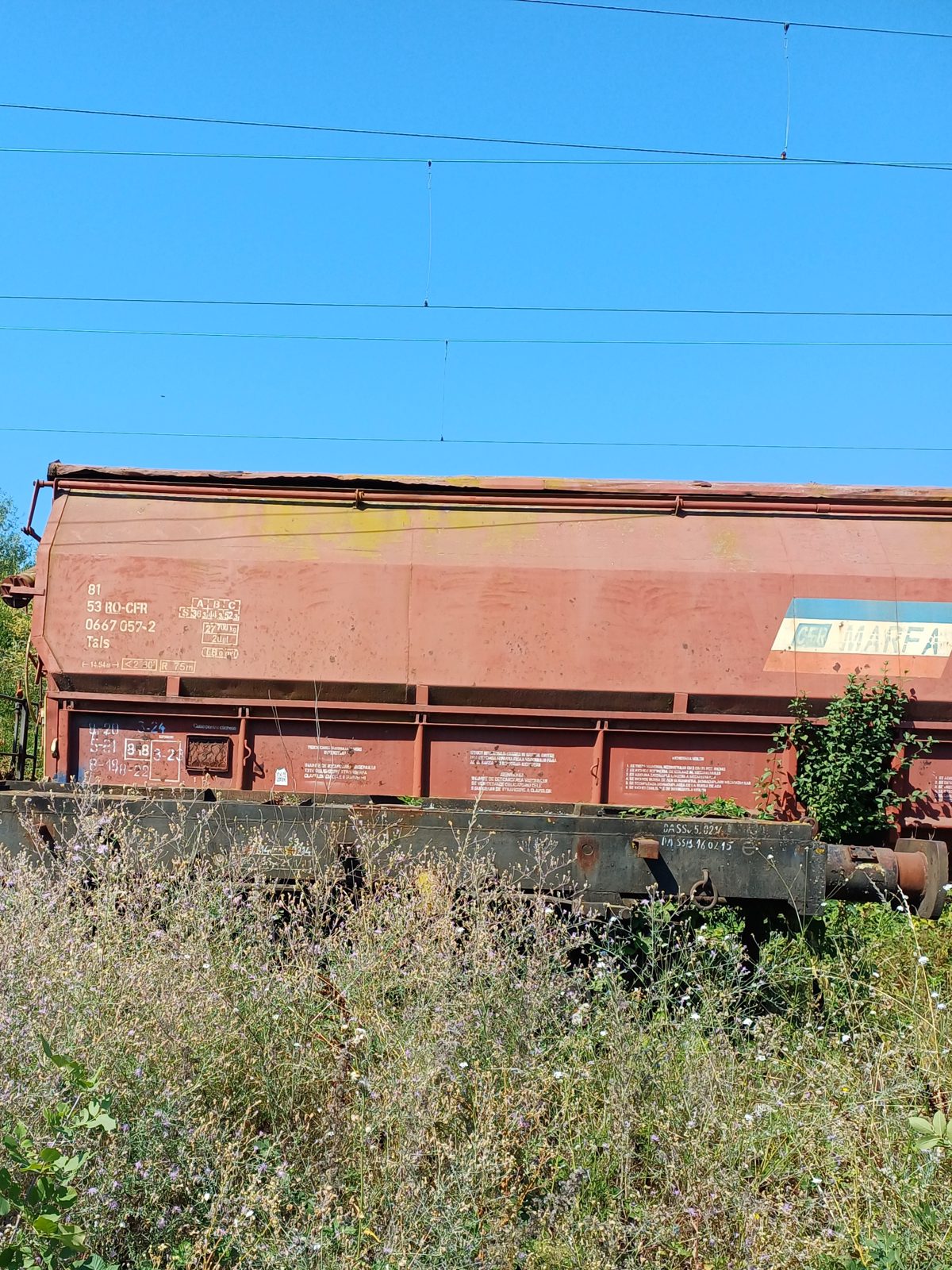 Vagon 815306670572 - Vagon marfa TALS (1979) 1