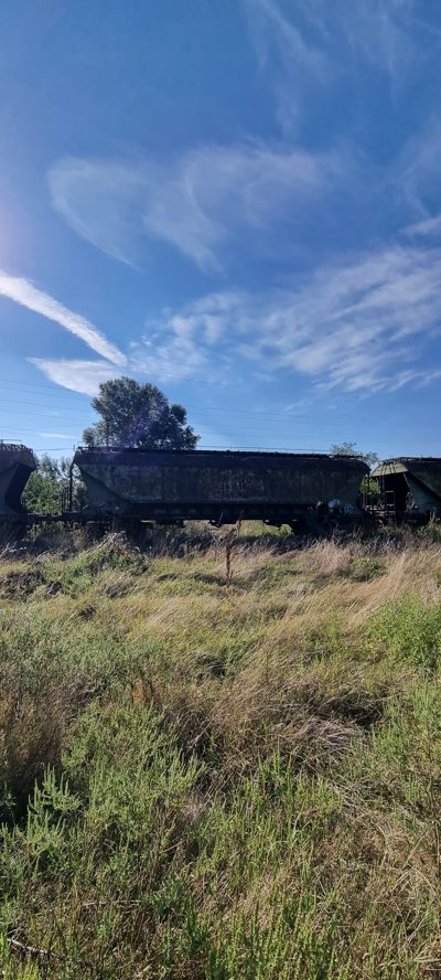 Vagon 315393391257 - Vagon marfa UAGPS (1981)