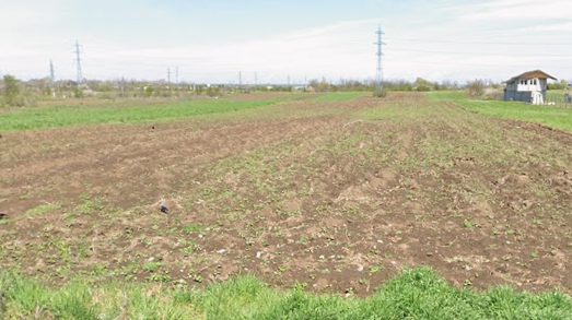 Miniatură 2