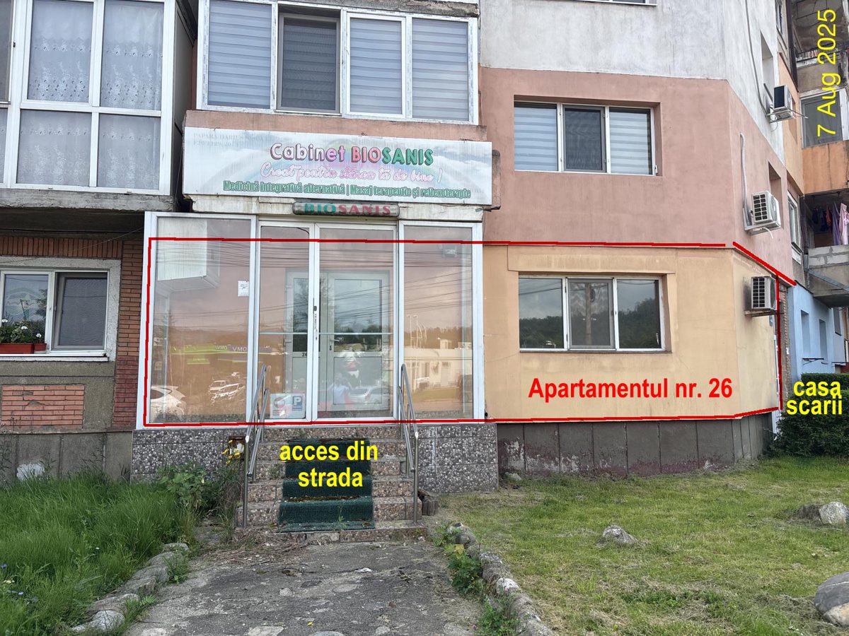 311Apartament 1