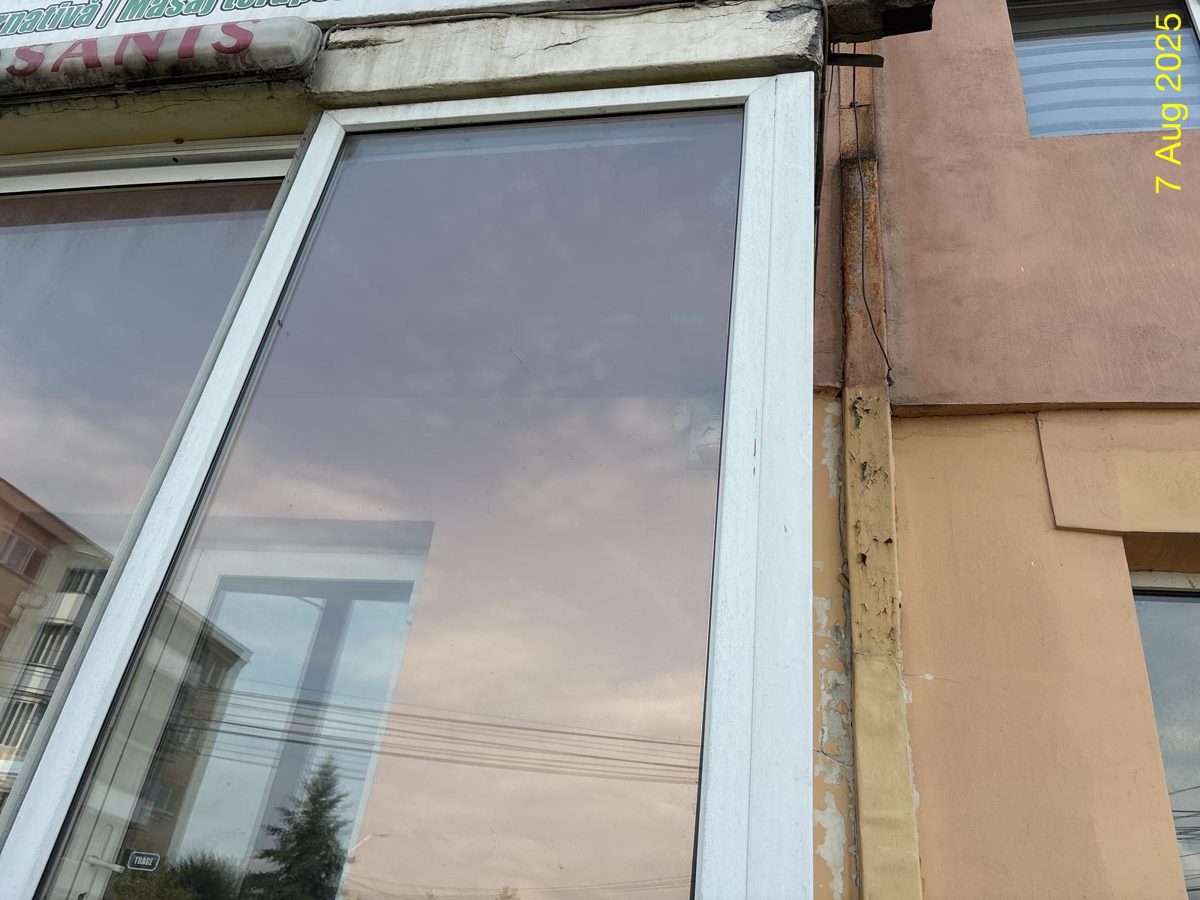 Miniatură 5