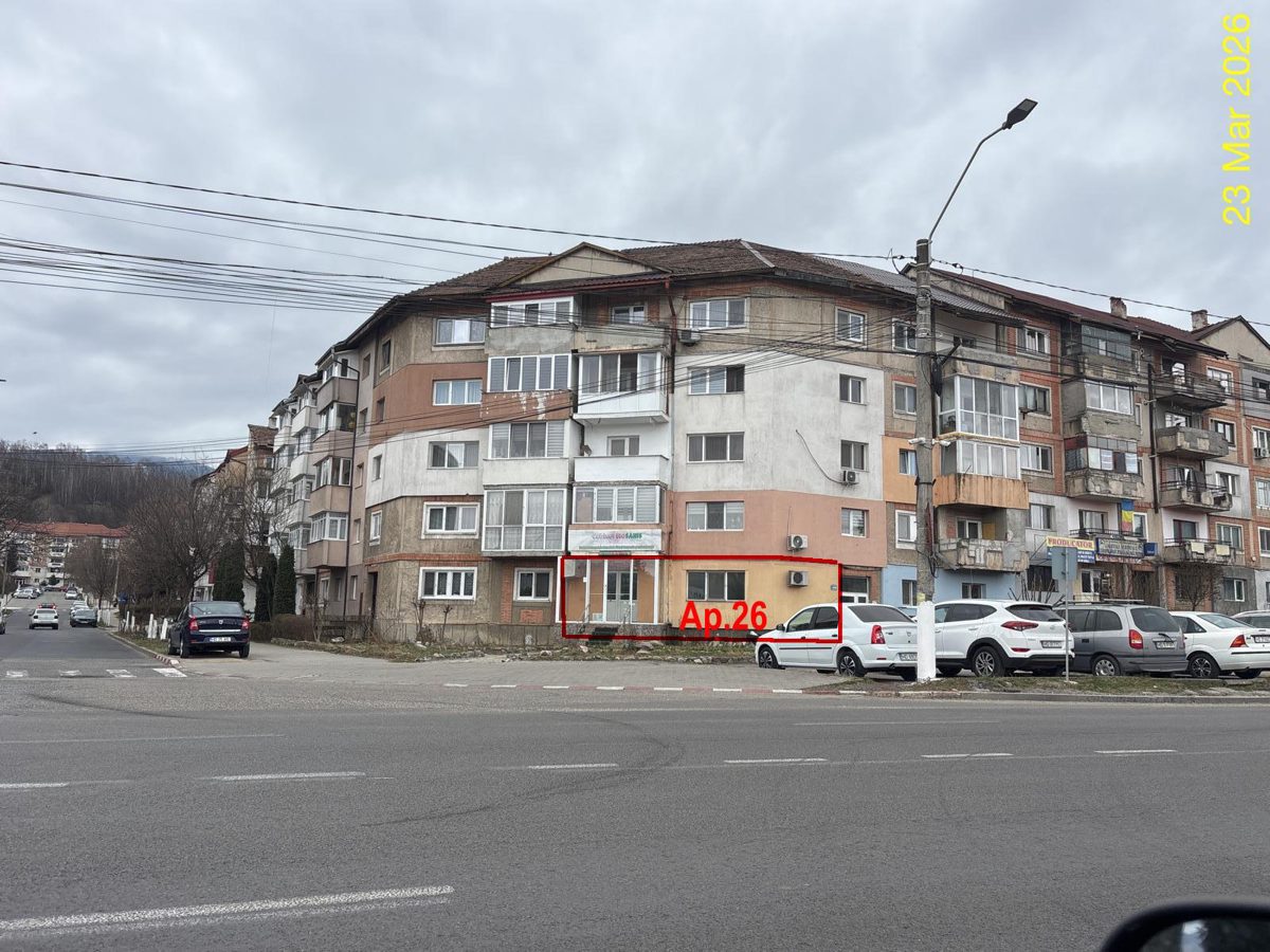 Miniatură 10