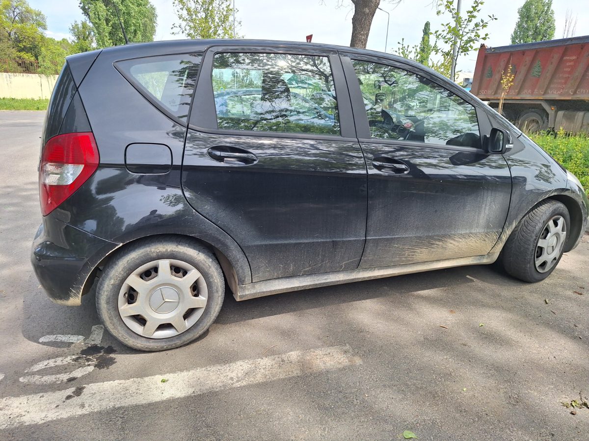 Miniatură 13