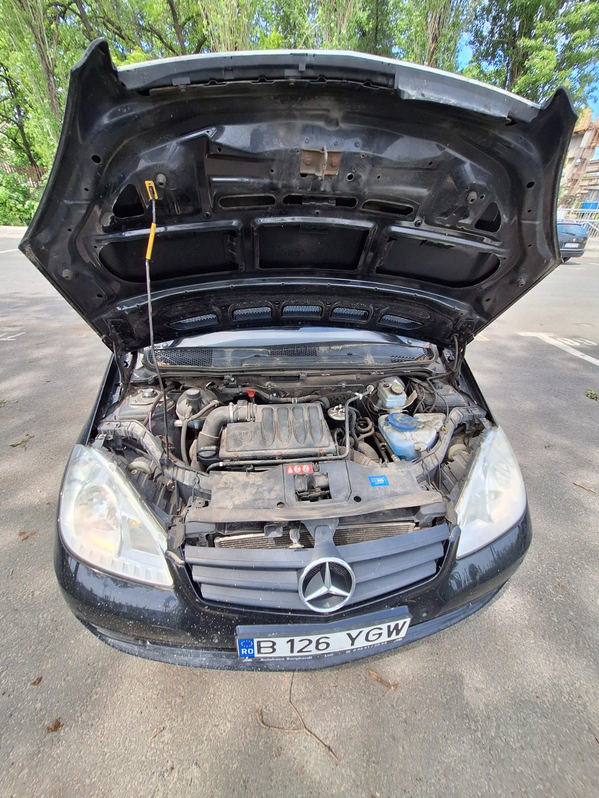 Miniatură 14