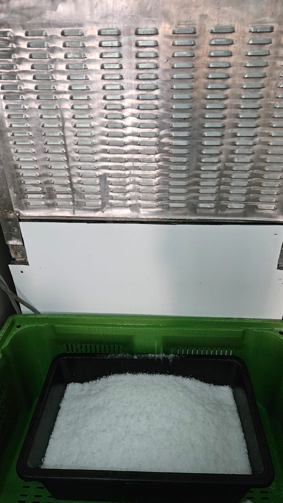 Miniatură 2