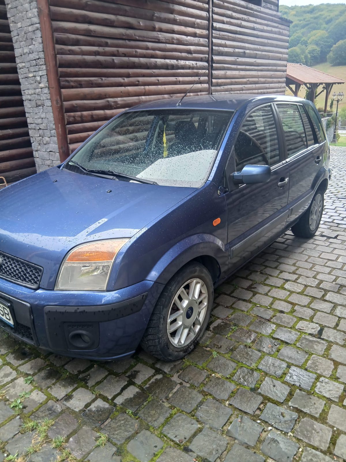 Miniatură 6