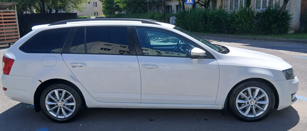Miniatură 2