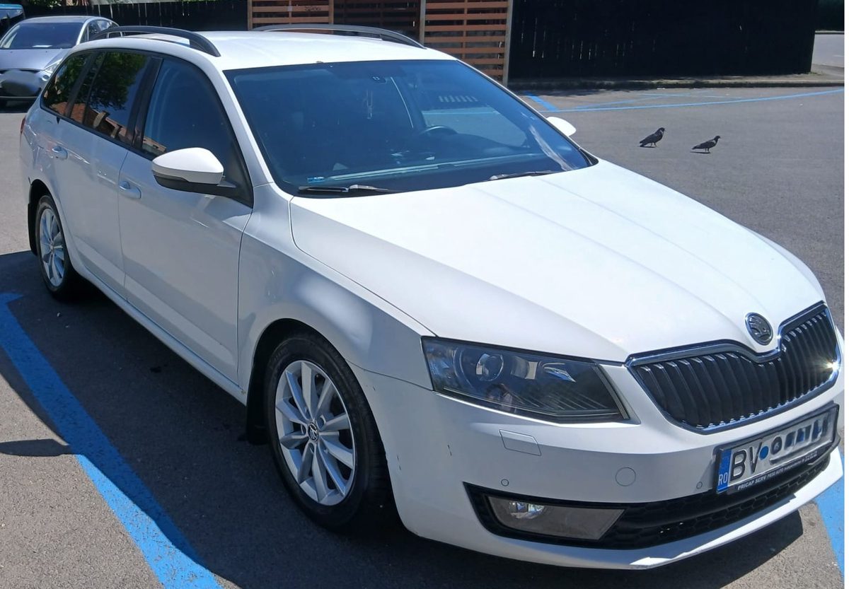 Miniatură 6
