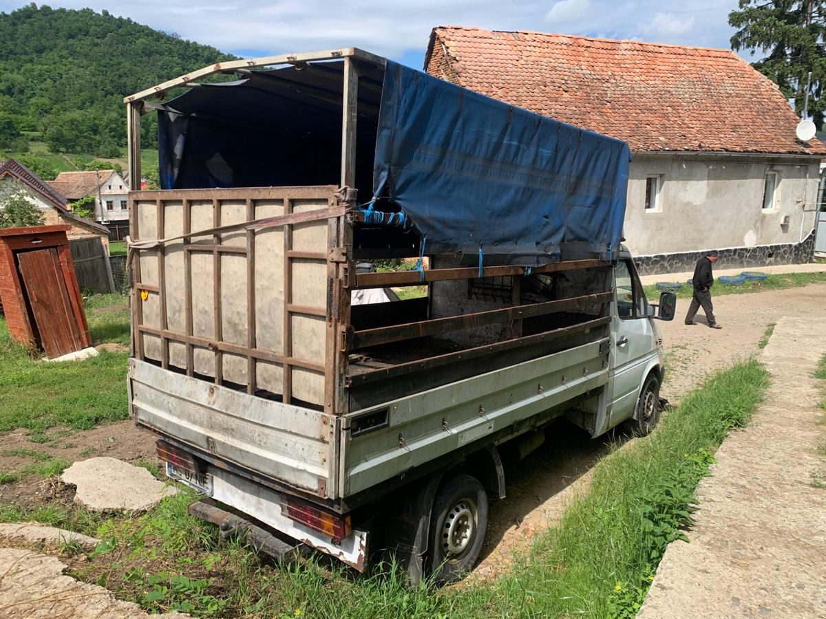 Miniatură 4