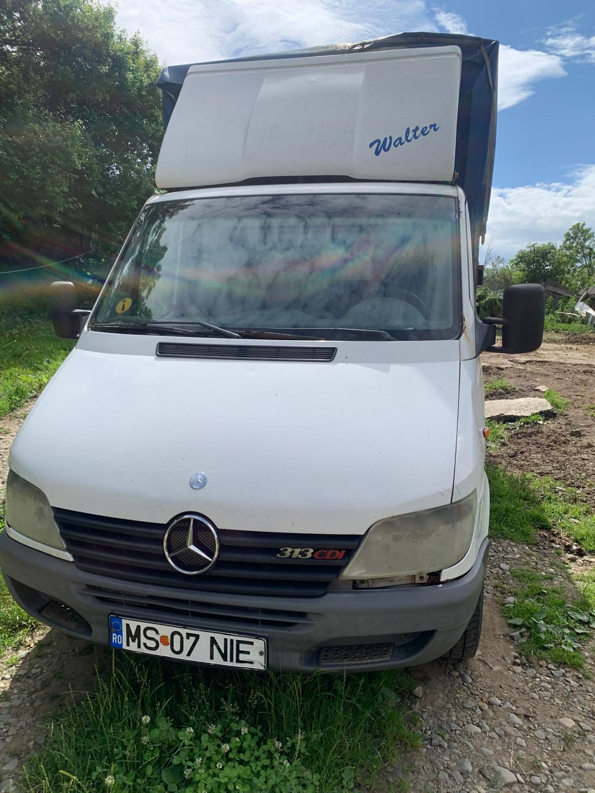 Miniatură 8