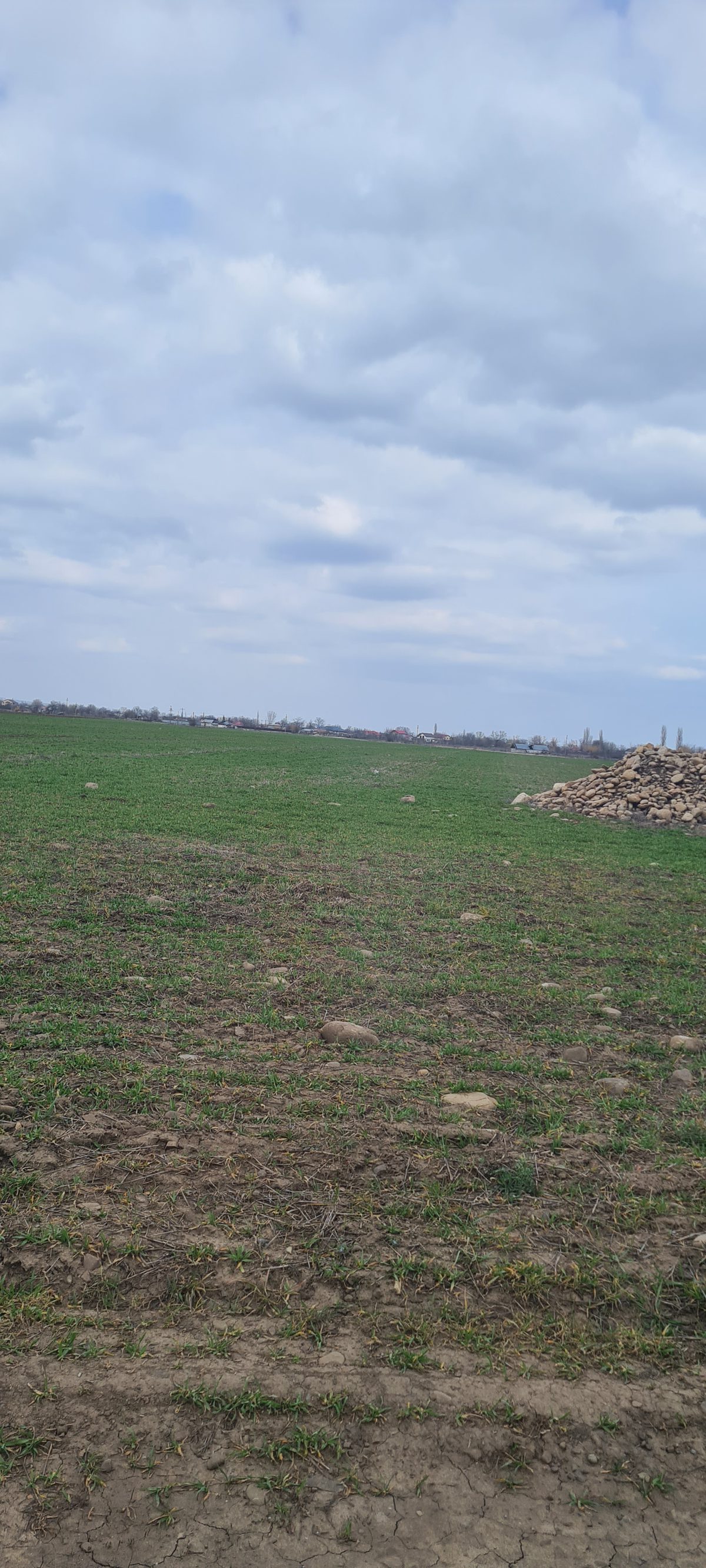 Teren agricol extravilan arabil- in suprafata de 3139 MP 1