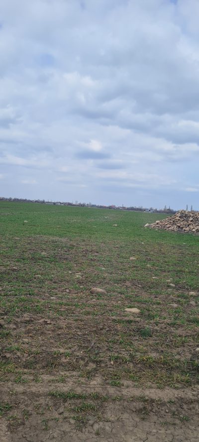 Teren agricol extravilan arabil- in suprafata de 3139 MP