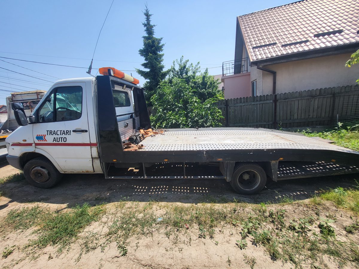 Miniatură 6