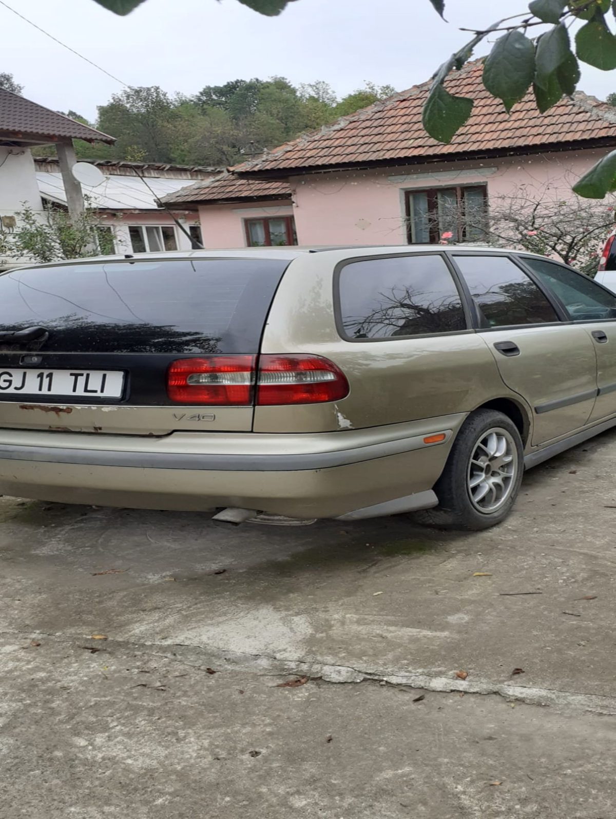 Miniatură 2