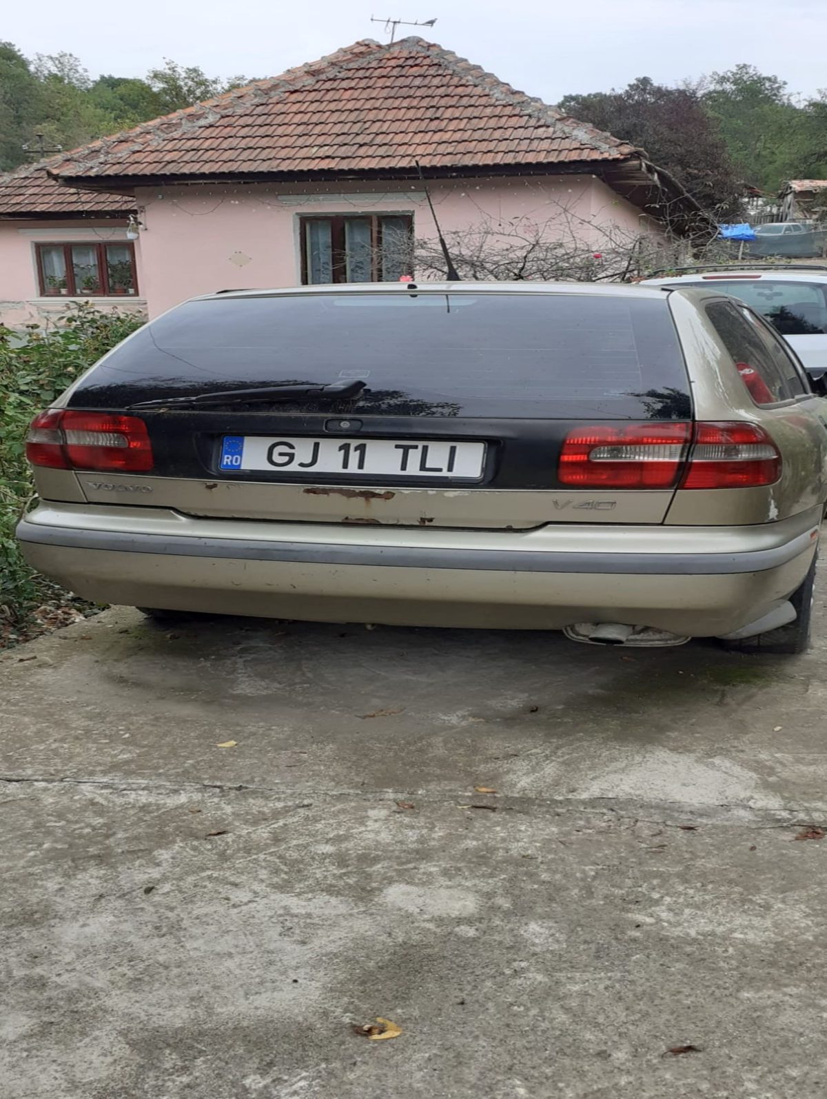 Miniatură 3