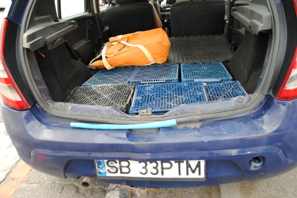 Miniatură 6