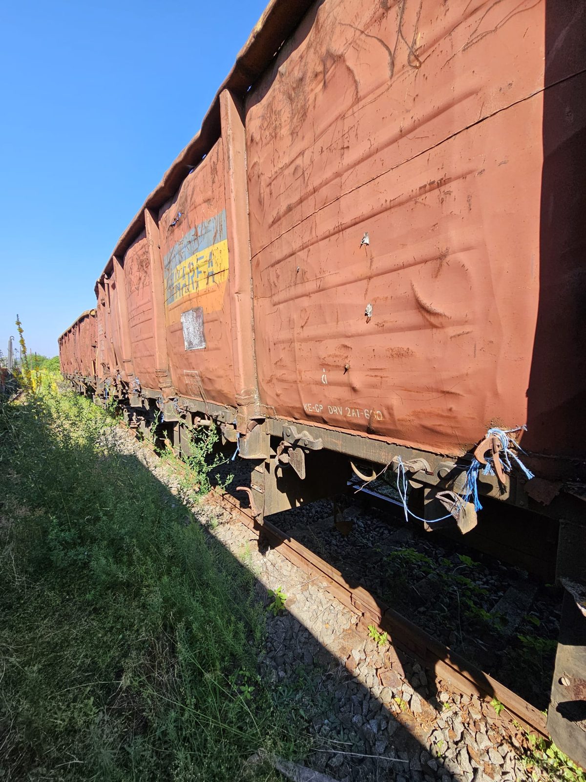 Miniatură 3