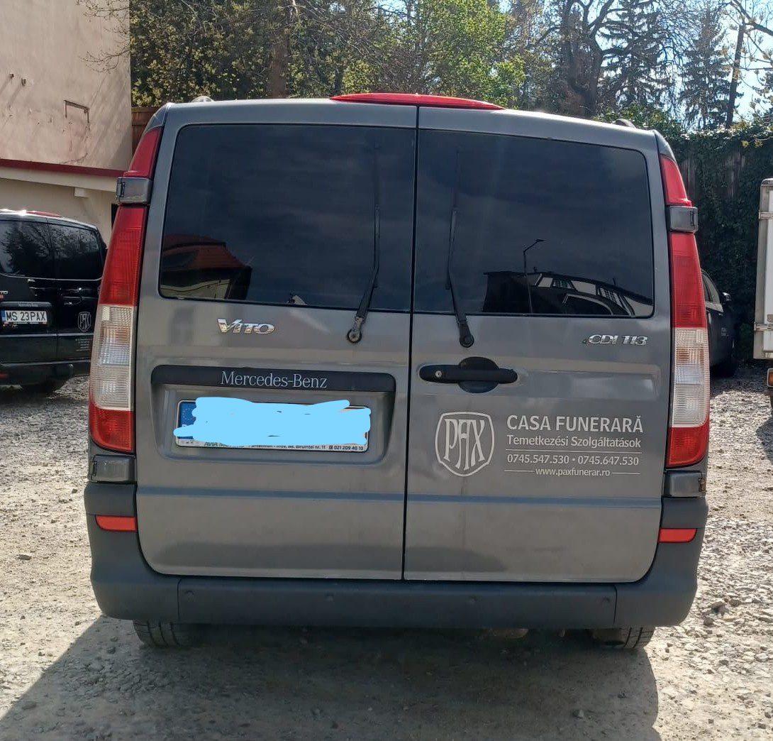 Miniatură 3