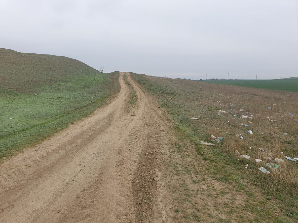 Miniatură 2