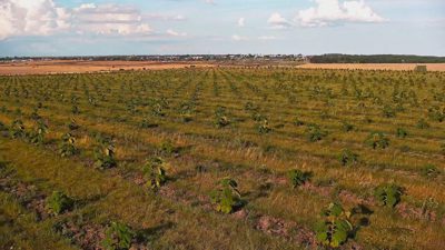 Teren agricol extravilan in suprafata de 99700 mp