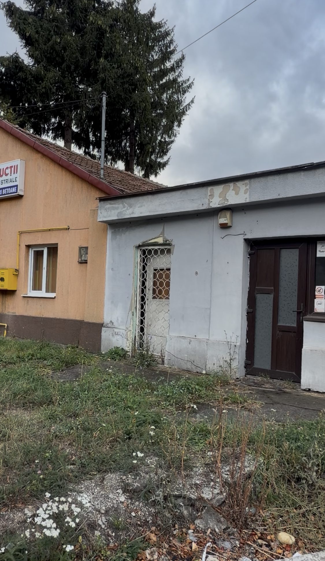 Miniatură 3