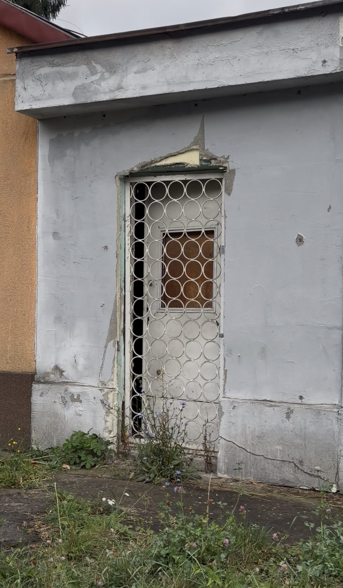 Miniatură 5