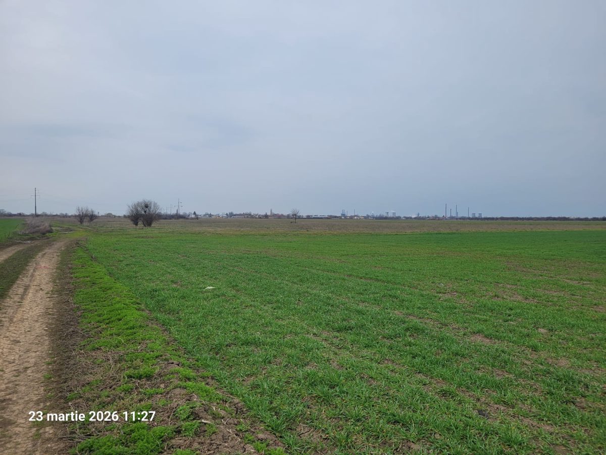 Teren agricol - arabil in suprafata de 6.700 mp - UAT BarcanestiI, judetul Prahova 1