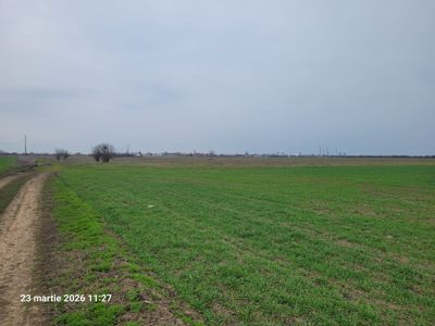 Teren agricol - arabil in suprafata de 6.700 mp - UAT BarcanestiI, judetul Prahova