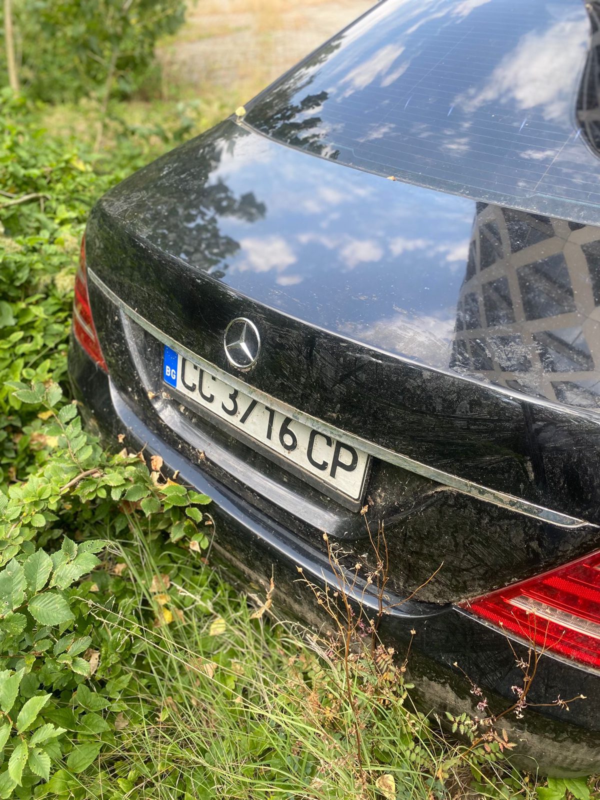 Miniatură 6