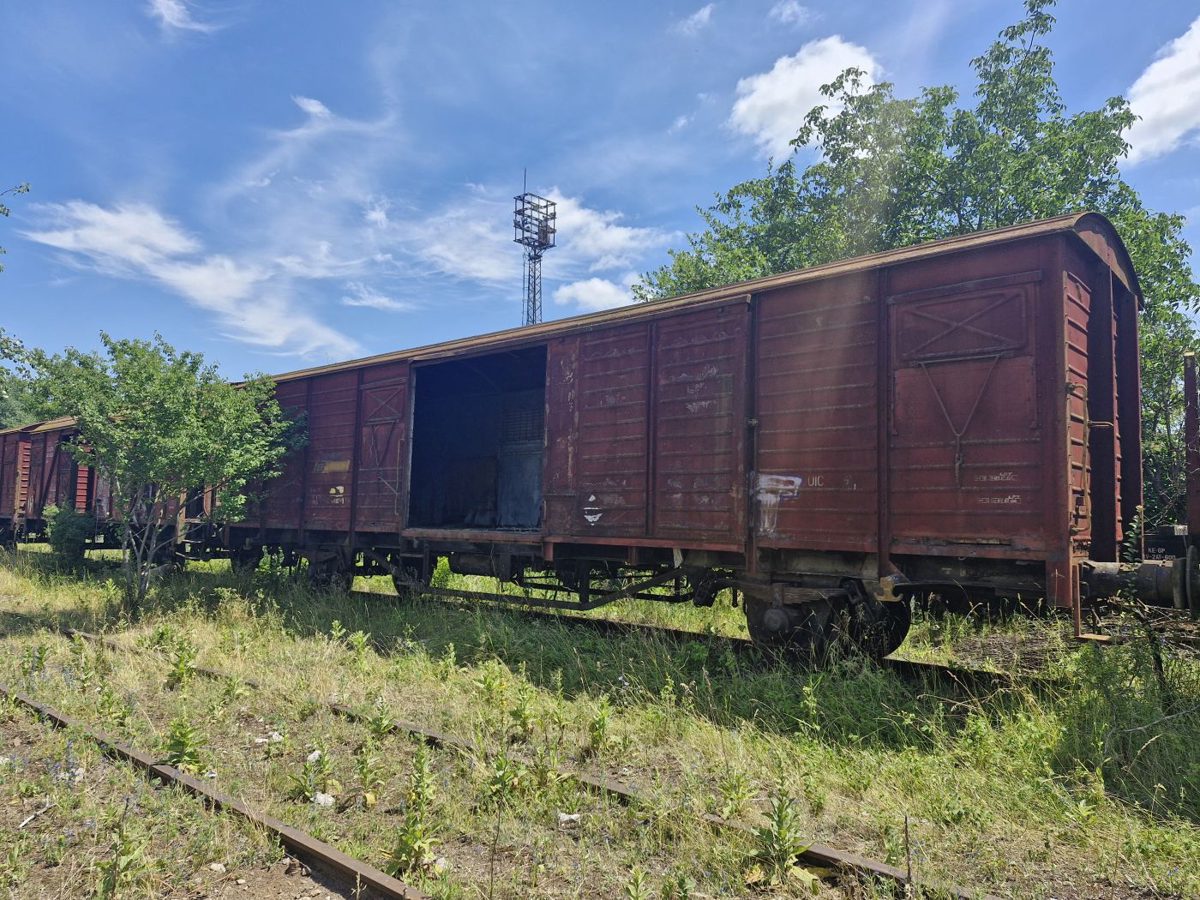 Miniatură 4