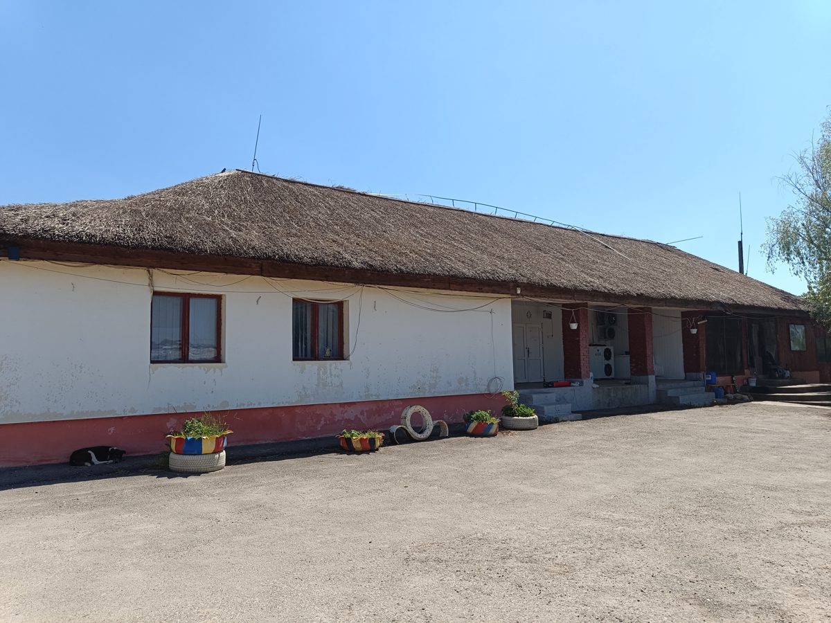 Miniatură 8