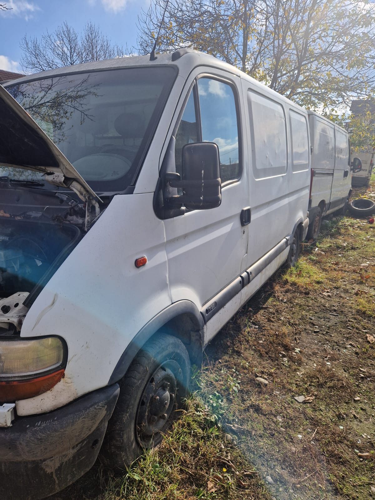 Miniatură 4