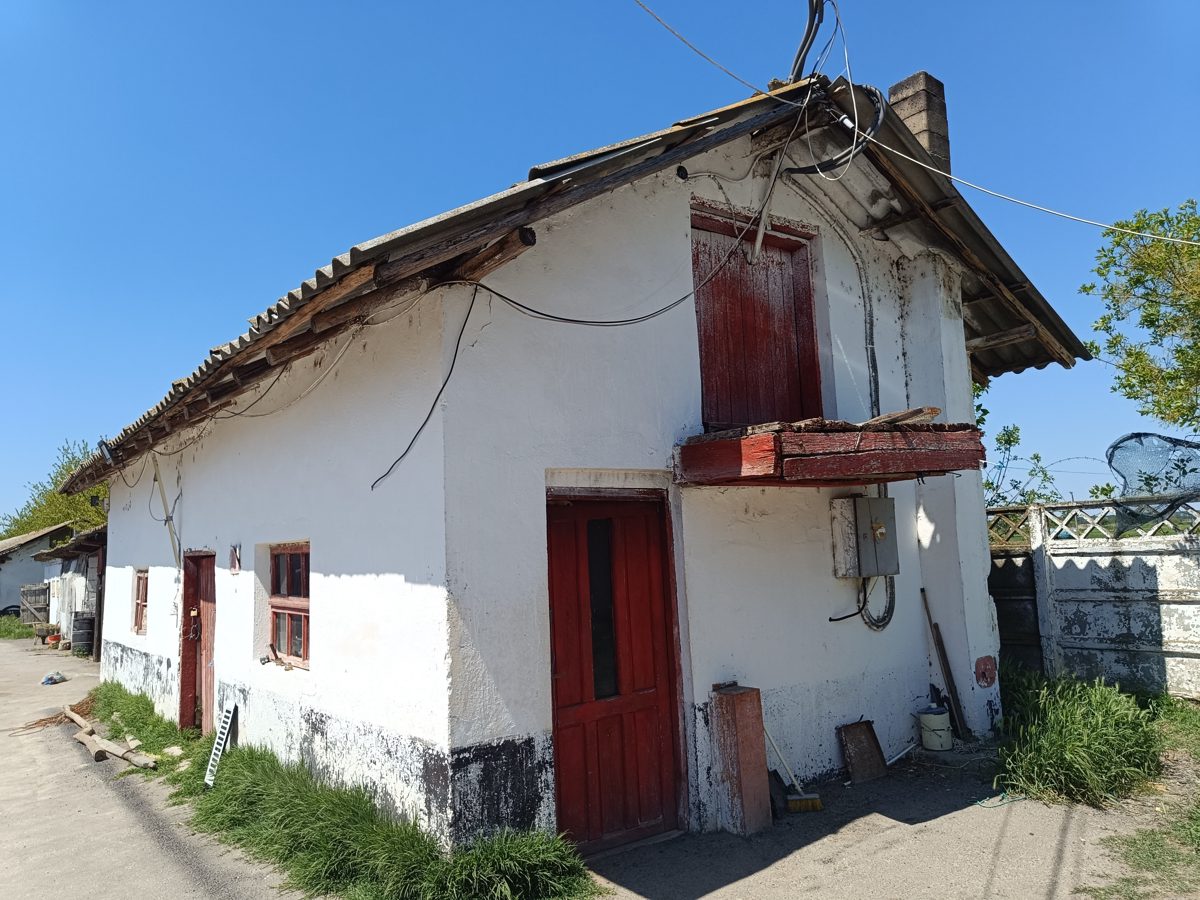 Miniatură 2