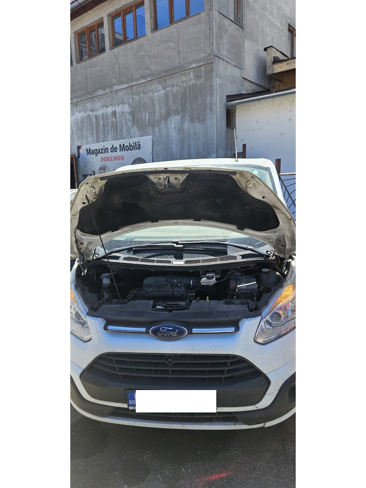 Miniatură 2