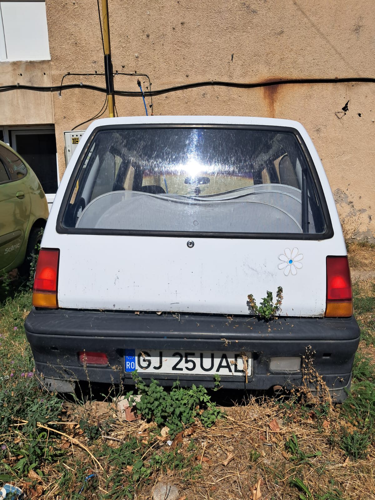 Miniatură 13